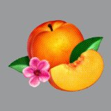Phoenix - Alphabetical