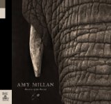 Millan , Amy - Honey