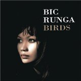 Bic Runga - Try to Remember Everything
