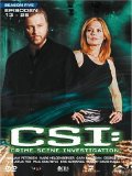 DVD - CSI: Las Vegas - Staffel 5.1