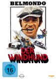 DVD - Ein irrer Typ (Belmondo Collection)