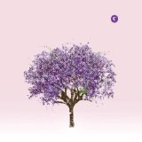 E [Mark Oliver Everett  (Eels)] - A Man Called [E]