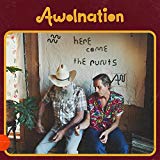 Awolnation - Run [Vinyl LP]
