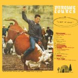 Parquet Courts - Sunbathing Animal