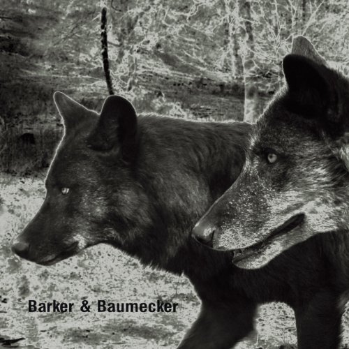Barker & Baumecker - Transsektoral [Vinyl LP] [Vinyl LP]
