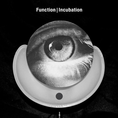 - Incubation