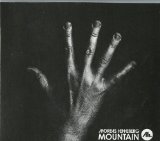 Isolee - Well Spent Youth (Vinyl+Mp3) [Vinyl LP]