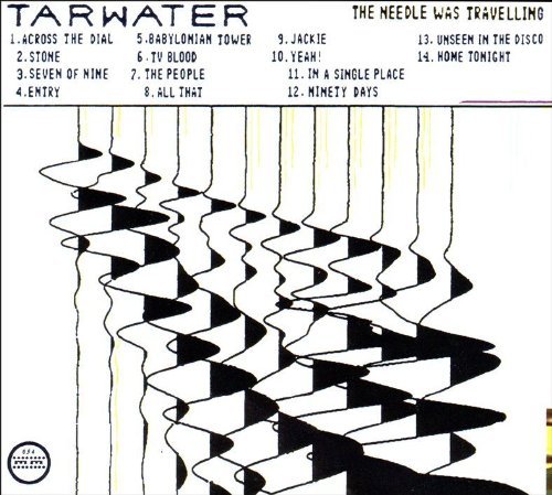 Tarwater - The needle was travelling