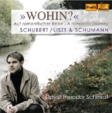 Schmidt , David Theodor - Der Dichter spricht - Poetry-Inspired Piano Music By Liszt, Brahms, Schumann