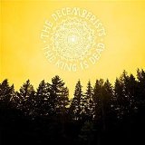 Decemberists , The - What a Terrible World, What a Beautiful World