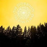 Decemberists , The - I'll Be Your Girl