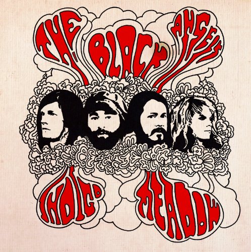 the Black Angels - Indigo Meadow (Incl.Mp3 Code/180 Gr.) [Vinyl LP]