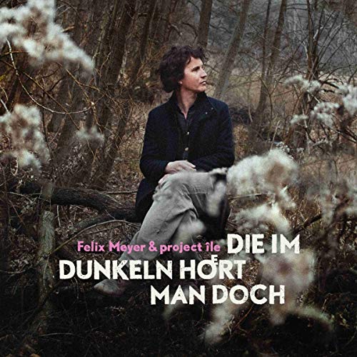 Meyer , Felix & Project Ile - Die im Dunkeln hoert man doch