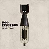 Foo Fighters - Wasting Light (Vinyl)