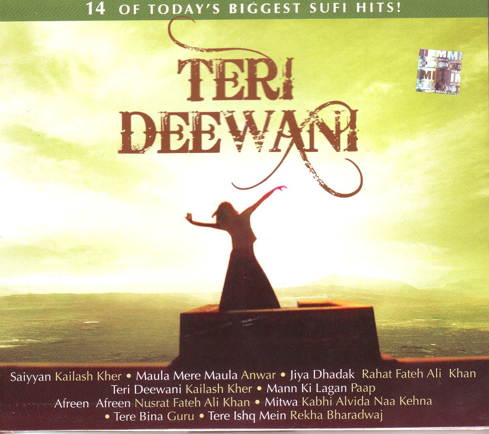 Sampler   - Teri Deewani