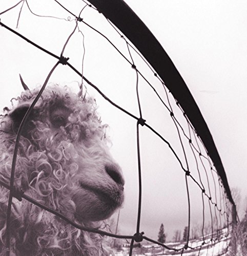 Pearl Jam   - Vs. (Remastered) (Vinyl)