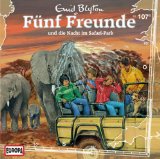 Fünf Freunde - 105/und das Magische Spinnennetz