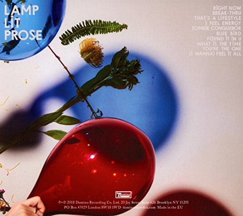 Dirty Projectors - Lamp Lit Prose