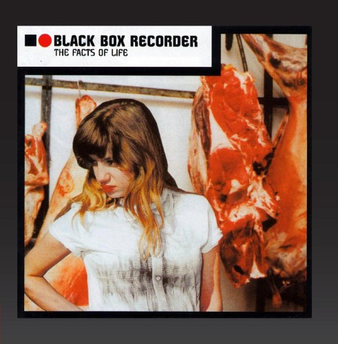 Black Box Recorder - The Facts of Life