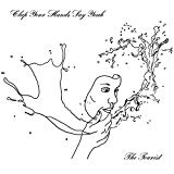 Clap Your Hands Say Yeah - Some loud thunder