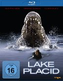 Blu-ray Disc - Triangle - Die Angst kommt in Wellen