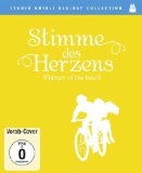 Blu-ray - Die letzten Glüwürmchen (Studio Ghibli Blu-ray Collection)