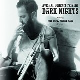 Avishai Cohen - Into The Silence