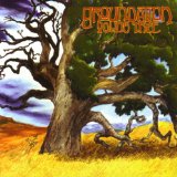 Groundation - Building An Ark