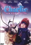 DVD - Blizzard - Das magische Rentier