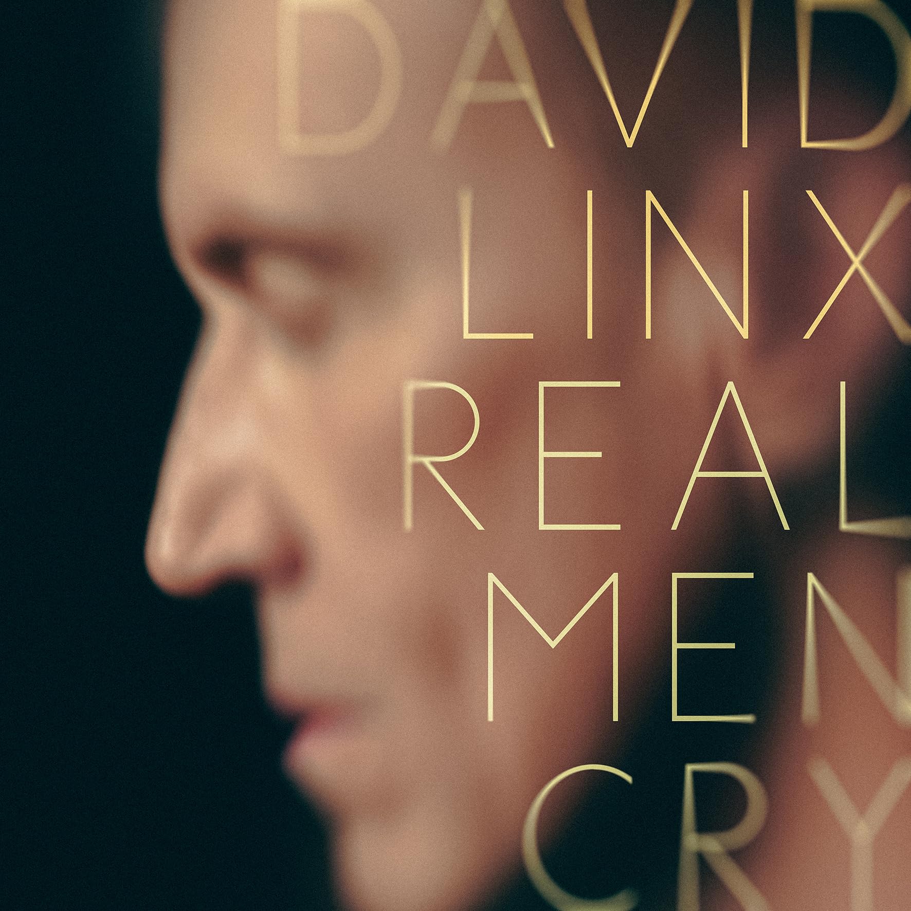 Linx , David - Real Men Cry