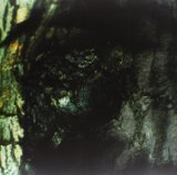 Yann Tiersen - Rue des Cascades/Cascade Street