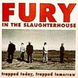 Fury in the Slaughterhouse - The color fury