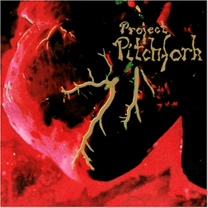Project Pitchfork - Souls