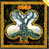 Skyclad - Vintage Whine