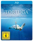  - Die Reise des Schmetterlings - Das Geheimnis des Monarchfalters [Blu-ray]