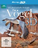  - Die Könige der Ozeane [Blu-ray]