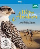  - Pinguine Hautnah [Blu-ray]
