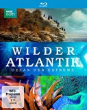 - - Wildes Brasilien - Land aus Feuer und Wasser [Blu-ray]