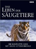 DVD - David Attenborough: Das Leben der Vögel - Die komplette Serie [3 DVDs]