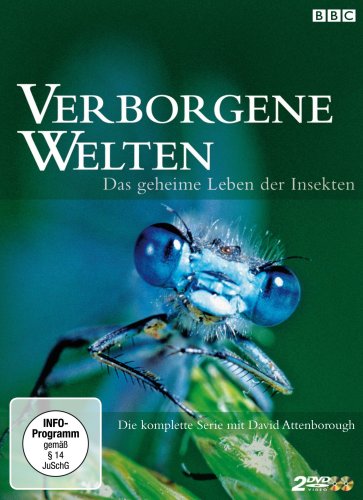 DVD - BBC: Verborgene Welten - Das geheime Leben der Ins