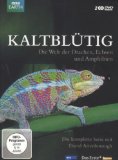 DVD - BBC: Das Leben der Säugetiere (4 DVDs)