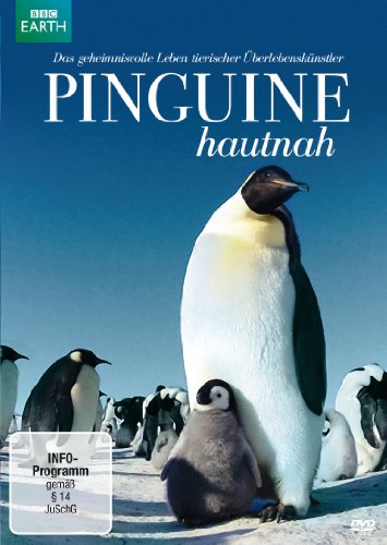 - Pinguine hautnah