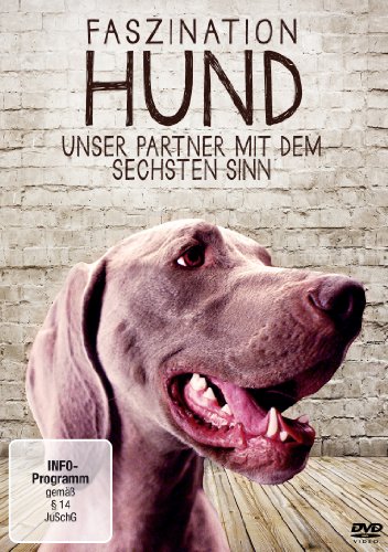 - Faszination Hund - Unser Partner mit dem sechsten Sinn