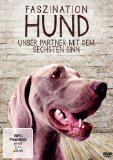  - Das große Hunde-ABC [2 DVDs]