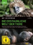 DVD - 360 Grad - GEO Reportage: Eine kulinarische Reise um die Welt [3 DVDs]