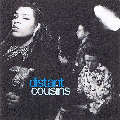 Distant Cousins - o. Titel (Vinyl)