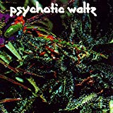 Psychotic Waltz - Mosquito