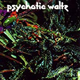 Psychotic Waltz - Into the Everflow