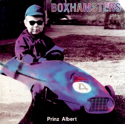 Boxhamsters - Prinz Albert
