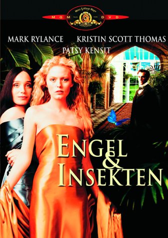 DVD - Engel & Insekten